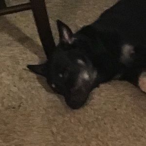 Meet your Posher, Whitney